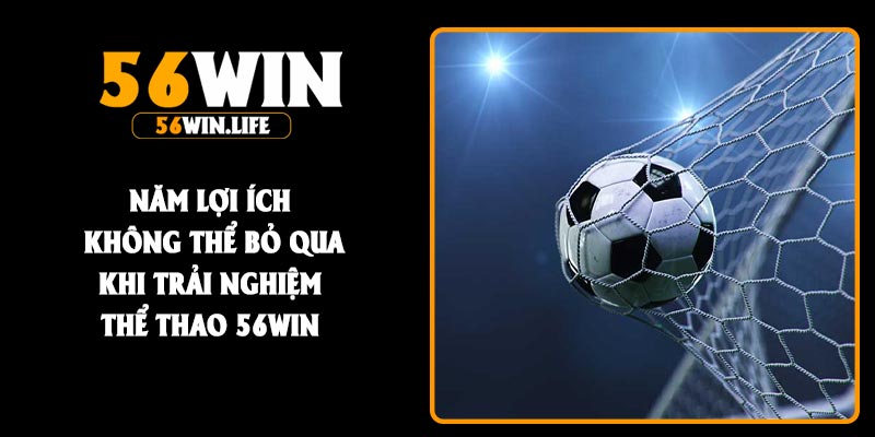 Năm lợi ích không thể bỏ qua khi trải nghiệm thể thao 56Win