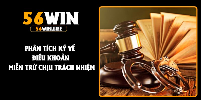 Phân tích kỹ về điều khoản miễn trừ chịu trách nhiệm